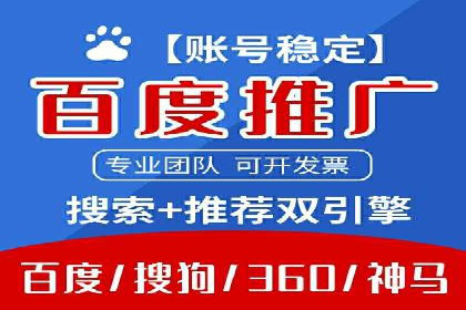 实战解析：SEM网络推广成功案例分享
